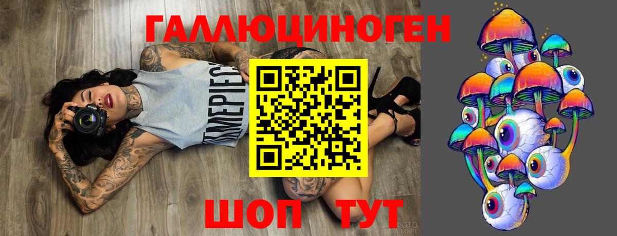 Псилоцибиновые грибы прущие грибы Кунгур